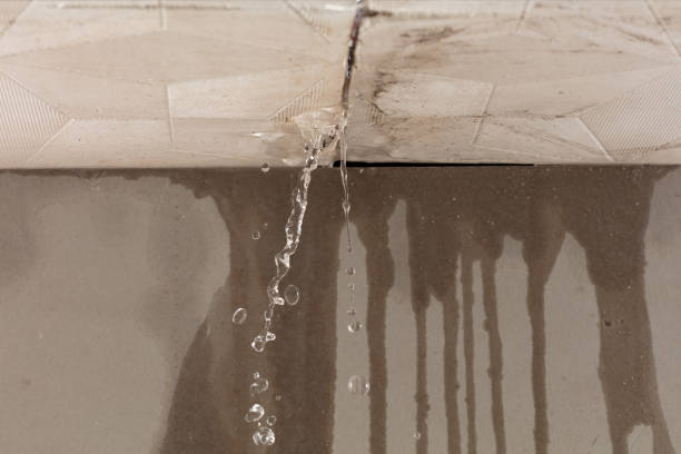 Professional Structural Drying technician working in Dawn, TX